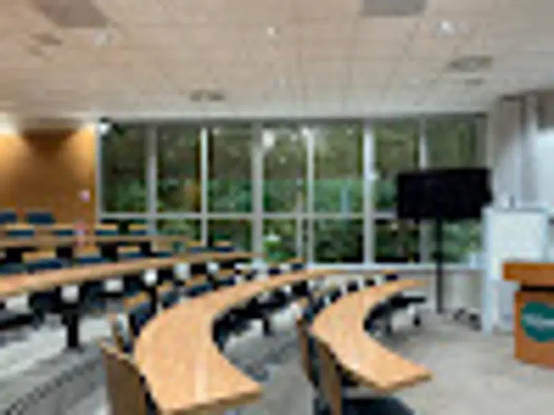 Gallery image 2