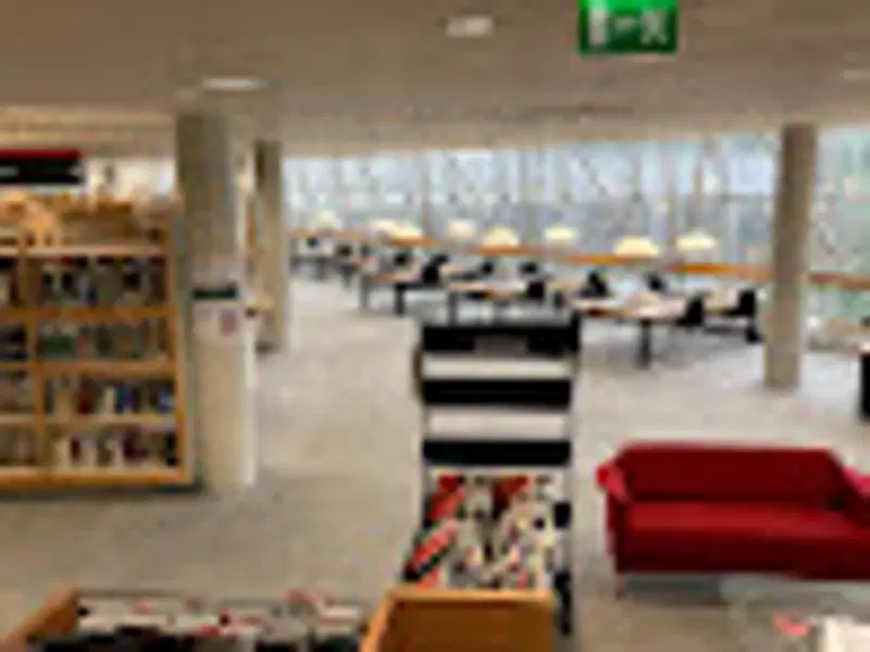 Gallery image 4