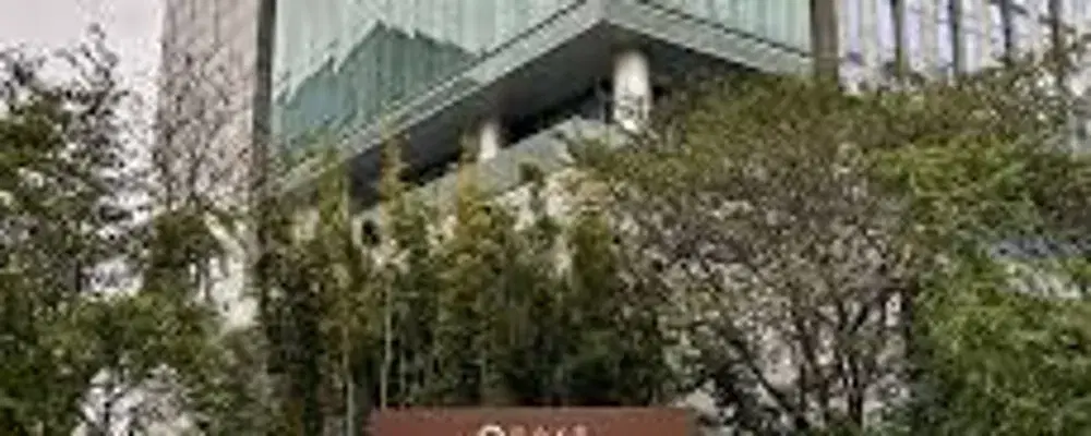 Tongji University School of Economics and Management