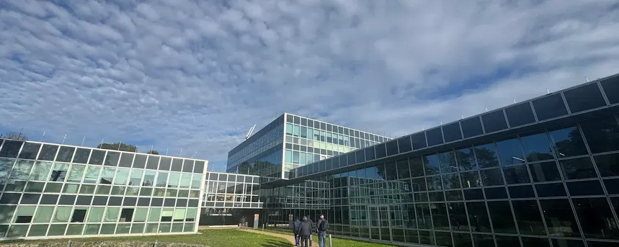 Global Executive MBA Flex (GEMBA Flex)